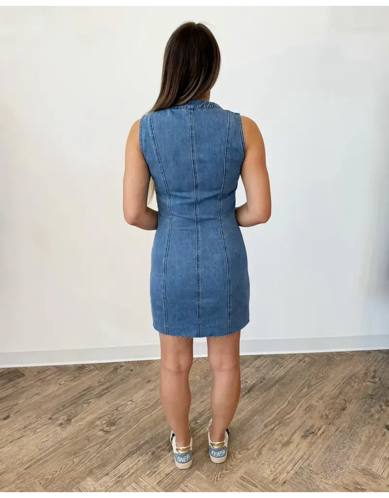  Luebeck Denim Dress      