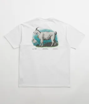 Nike ACG Goat T-Shirt - Summit White