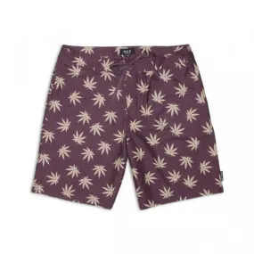 Plantlife Short Wine/khaki